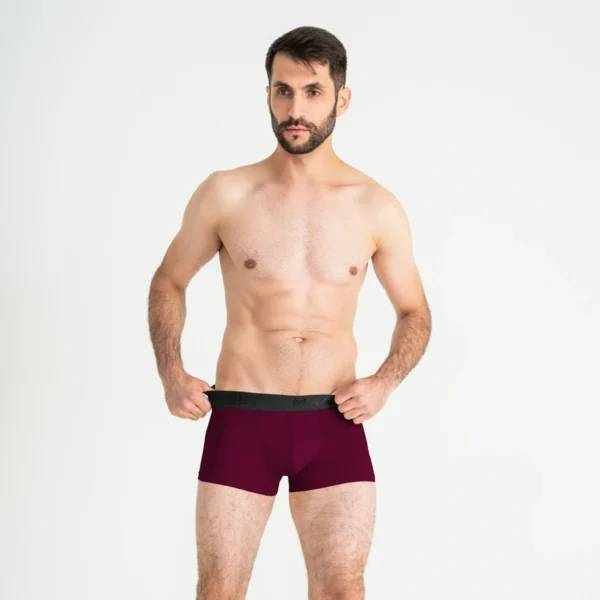 Pánske anatomické boxerky, Anatomic Intimate 2.1 Black Series, marsala