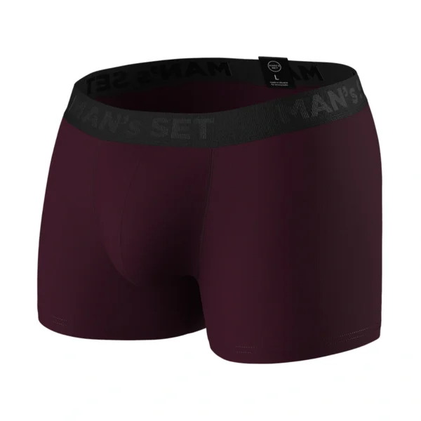 Pánske anatomické boxerky Anatomic Intimate 2.1 marsala – MAN'S SET